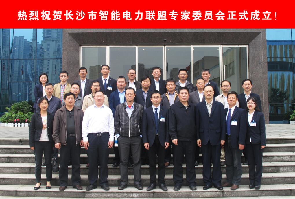 热烈祝贺长沙市智能电力联盟专家委员会成立暨检测公共服务平台正式上线！